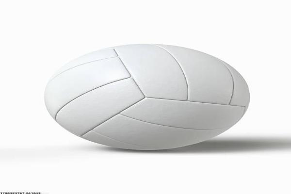 在校体育教师的培训申请流程与准备